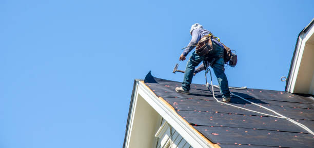 Best Roof Gutter Cleaning  in Camden, NJ